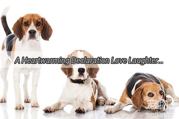 A Heartwarming Declaration Love Laughter and a Loyal Canine Companion